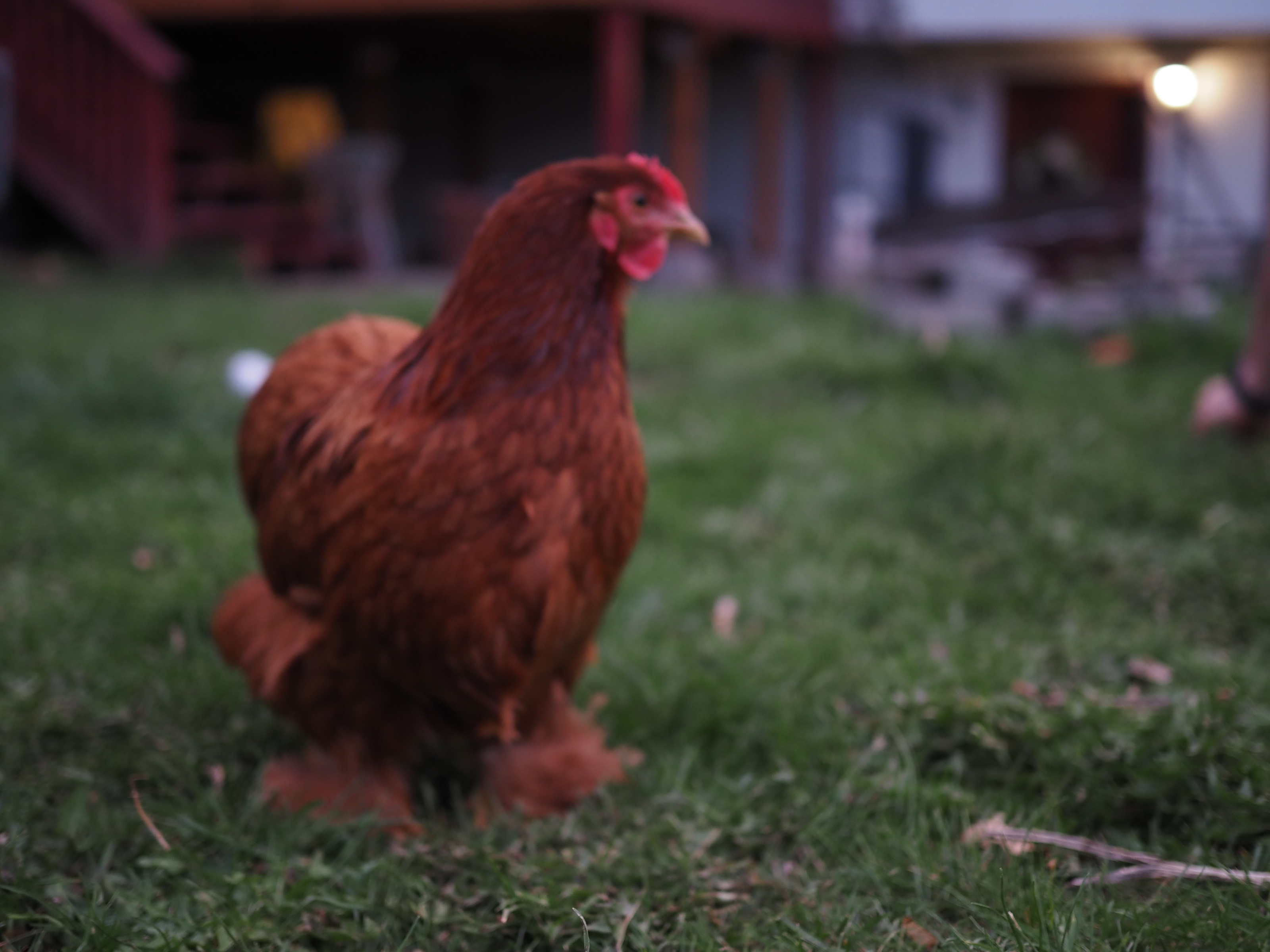 Completed electrical work