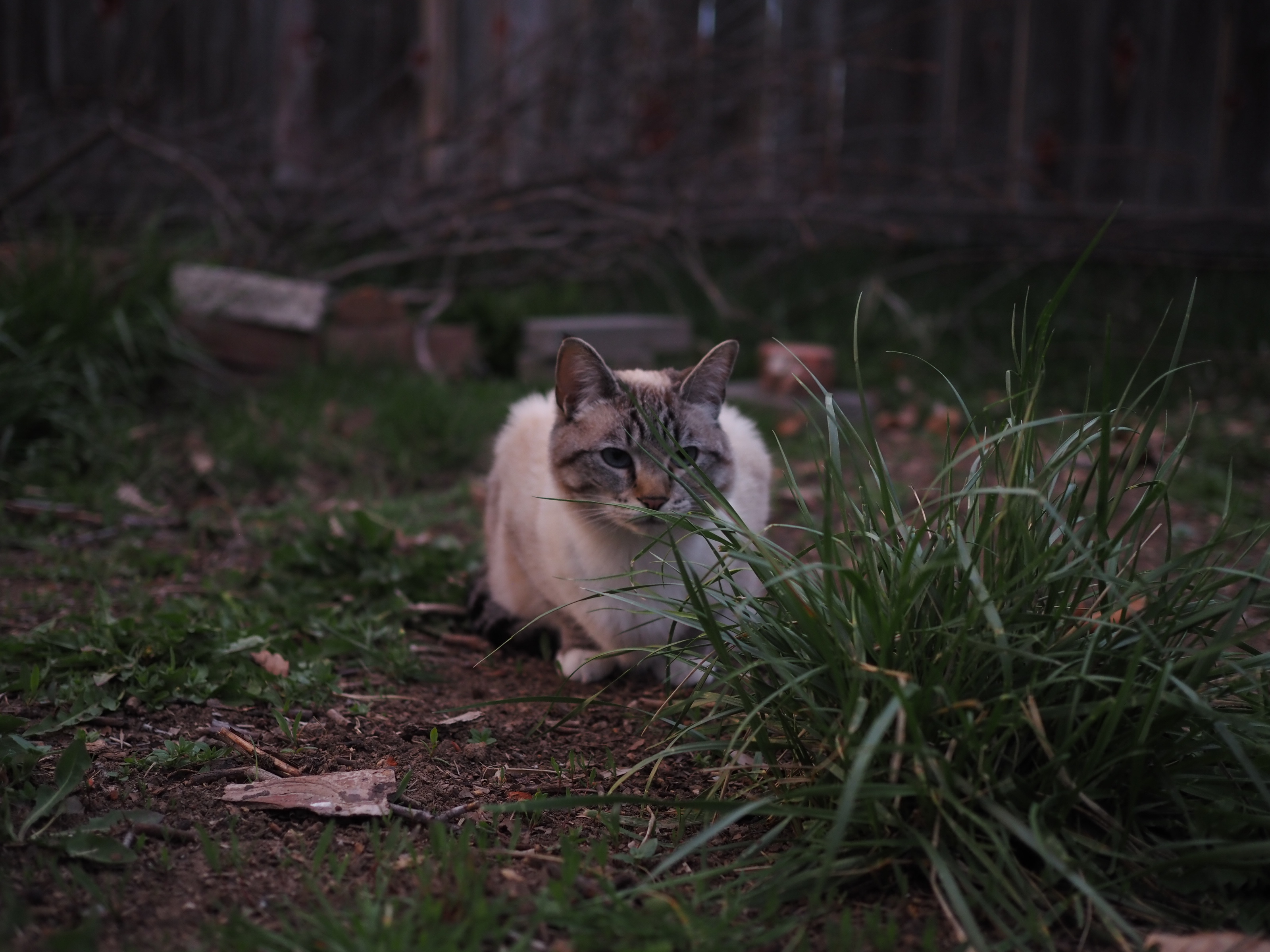 Electrical project detail